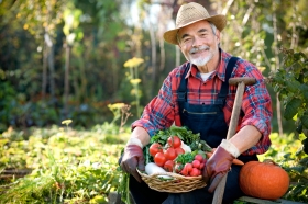 Ortaggi - Nutrimenti Terrestri